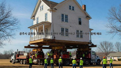 공주시 금학동 주미동 이삿짐센터 추천: 안전하고 편리한 이사, 함께 해요!